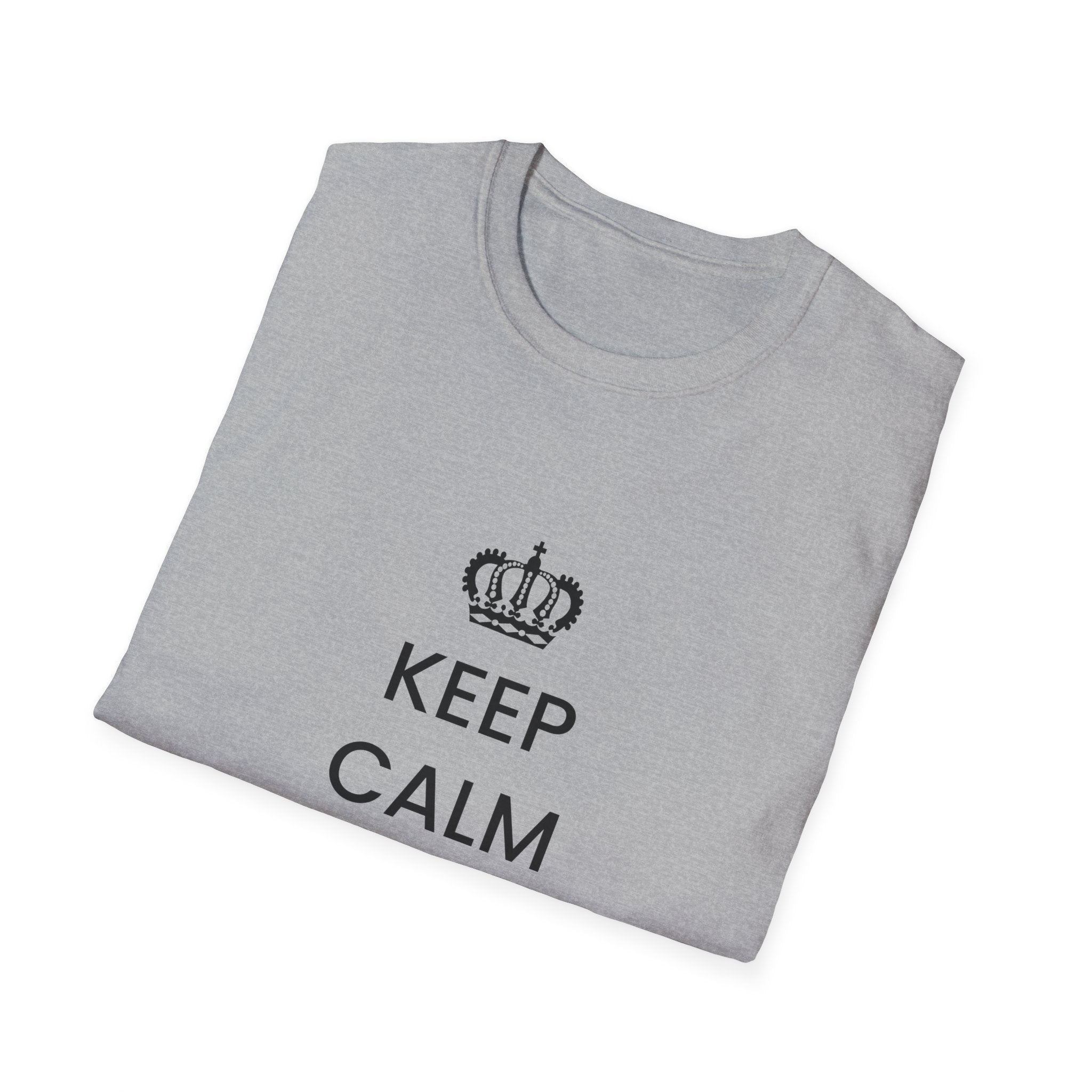 Political T-Shirt — “Keep Calm and Deport Millions”
