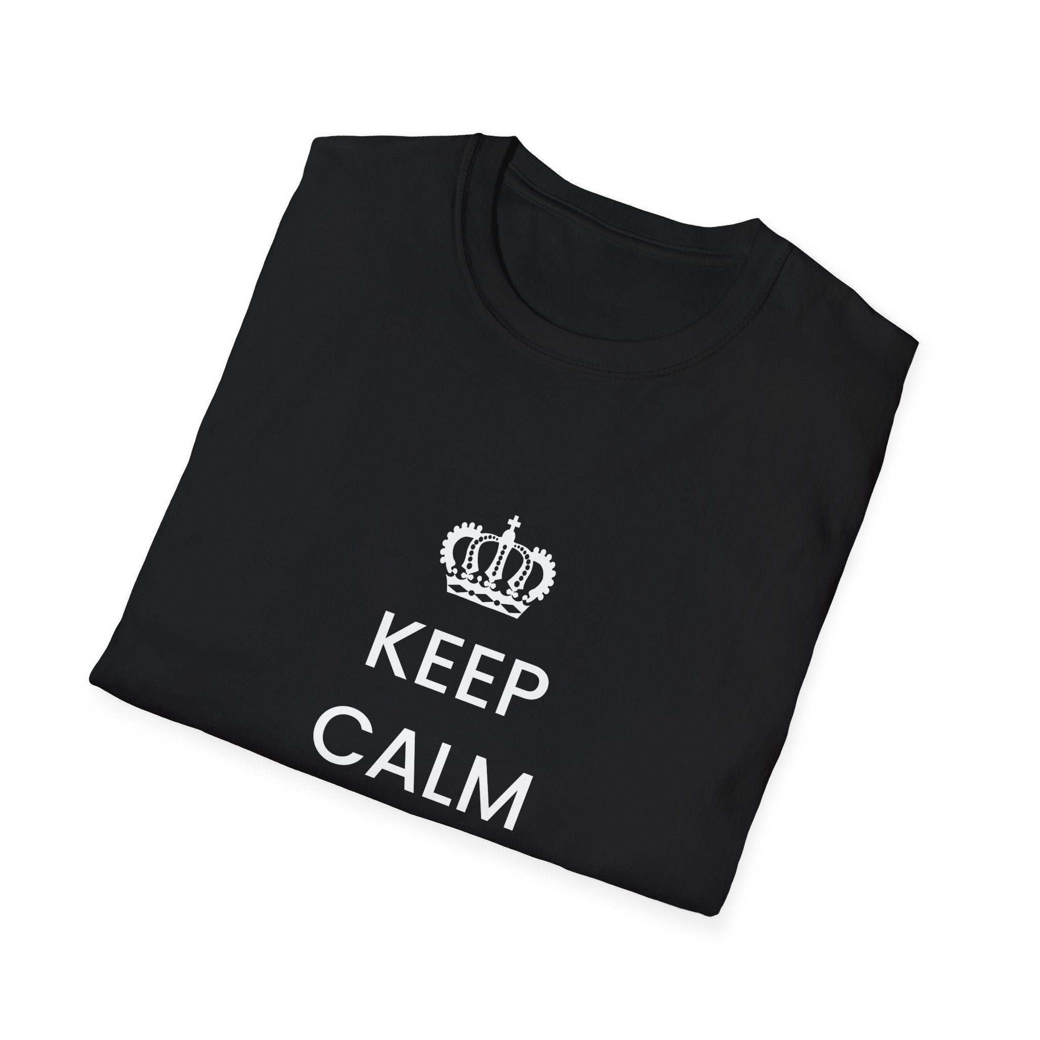 Political T-Shirt — “Keep Calm and Deport Millions”