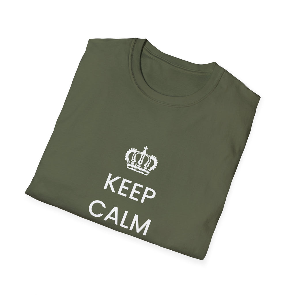 Political T-Shirt — “Keep Calm and Deport Millions”