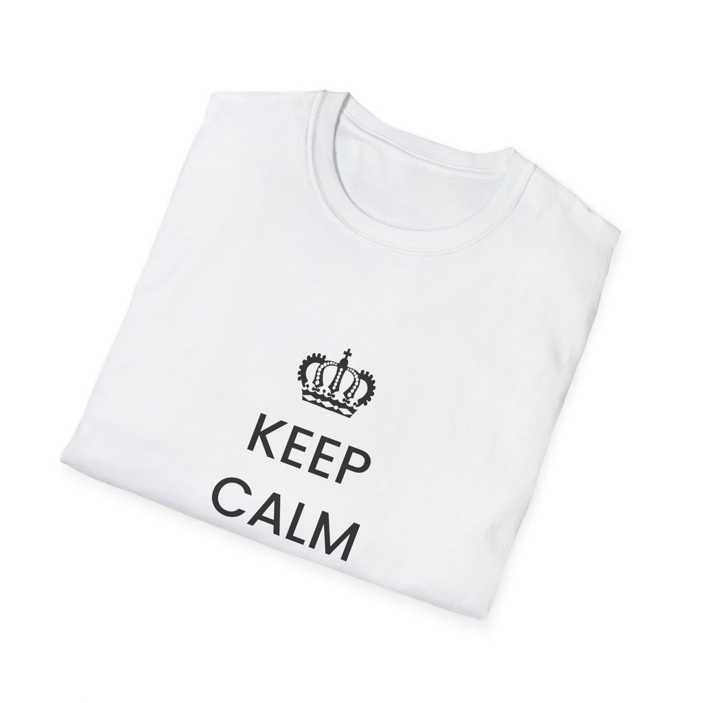 Political T-Shirt — “Keep Calm and Deport Millions”