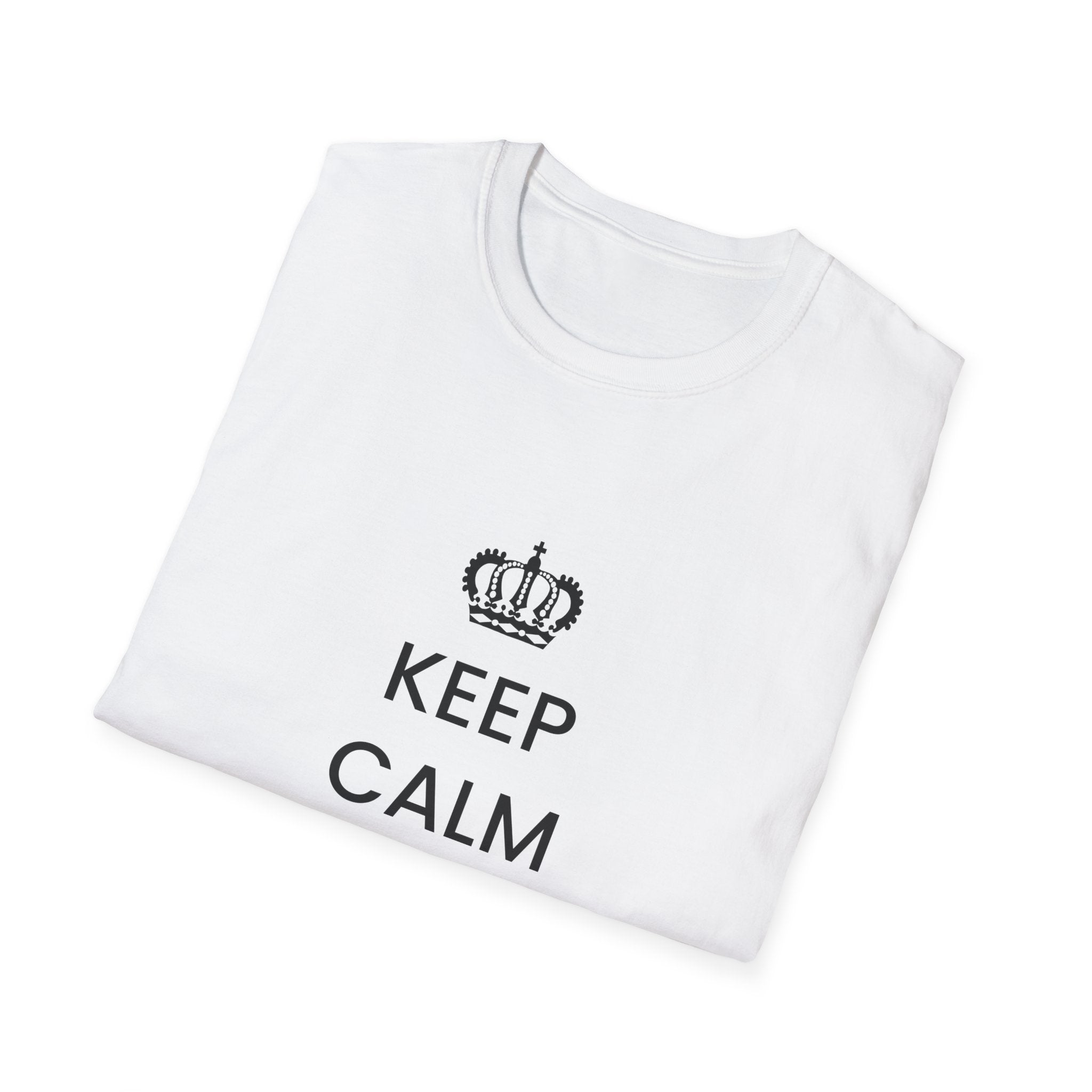 Political T-Shirt — “Keep Calm and Deport Millions”